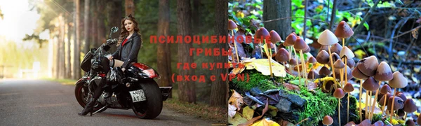 мдпв Киренск