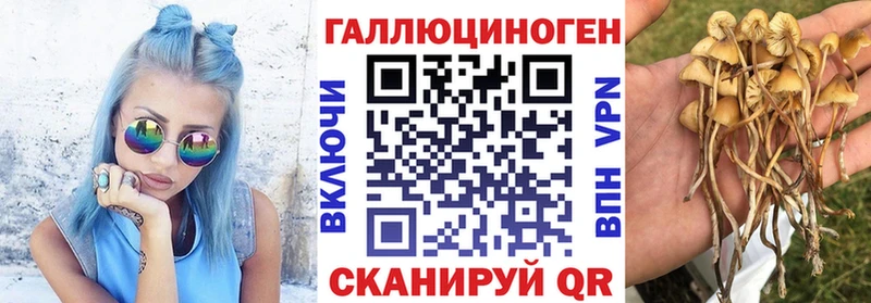 Псилоцибиновые грибы Cubensis  Купить закладки  Балашиха 